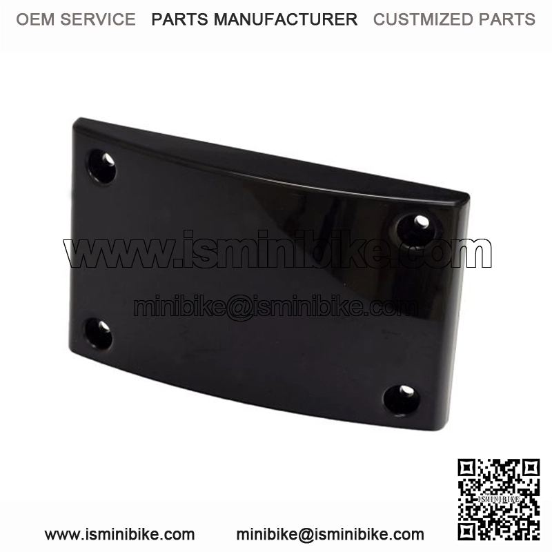 Front Panel for the Baja Doodle Bug (DB30R)