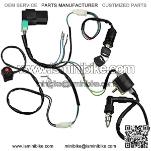 Wire Harness Wiring Loom CDI Ignition Coil Spark Plug Rebuild Kit for 50cc 70cc 90cc 110cc 125cc Stator CDI Coil ATV Quad Bike Buggy Go Kart