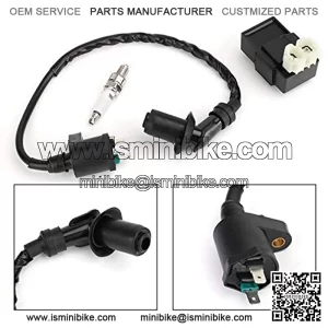 Bruce & Shark Racing CDI Ignition Coil & Spark Plug & 6 Pins CDI Box for Various copy GY6 models SCOOTERS, GO KARTS, QUADS, DIRT BIKES, DUNE BUGGYS