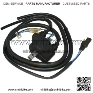 Ignition Coil for Arctic Cat 3003-977 3004-039 3005-185