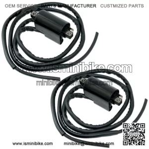 Set of 2 Ignition Coil for Suzuki GSF600S Bandit 600 1996-2003