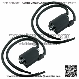 2 Sets Of Ignition Coil for Honda VT750C Shadow / VT750CD2 Shadow Ace1998-2001