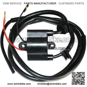 Ignition Coil for Yamaha RA700 Wave Raider 700 1994 1996 1997