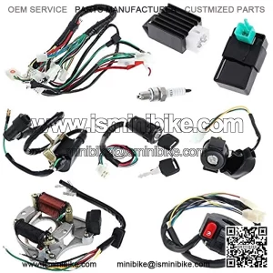 Complete Electrics Stator Coil CDI Wiring Harness for 4 Stroke ATV KLX 50cc 70cc 110cc 125cc Quad Bike Buggy Go Kart Pit Dirt Bikes