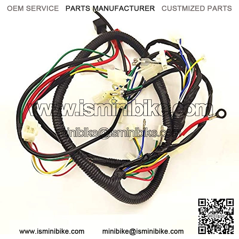 DSparts, Complete Electrics Stator Coil CDI Wiring Harness Wire Loom Assembly Fit for GY6 4-Stroke ATV QUAD Engine Type - Image 2