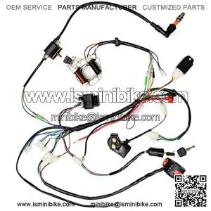 Complete Electrics Stator Coil CDI Wiring Harness Rectifier Solenoid Relay for 50cc 70cc 110cc 125cc Kazuma Taotao Kangdi 4 Wheeler Chinese ATV Quad