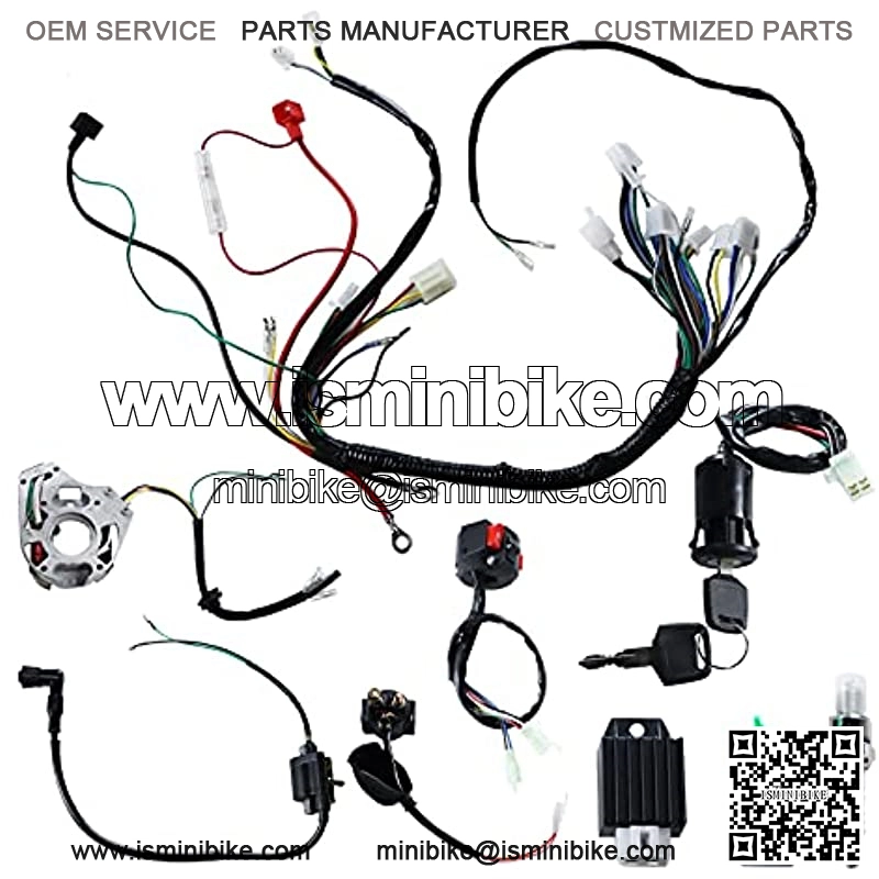 Complete Wiring Harness kit for ATV Quad 4 Four Wheelers 50CC 70CC 110CC 125CC Go Kart Dirt Pit Bikes, with Electrics Stator Coil CDI Wiring Harness Solenoid Relay Spark Plug