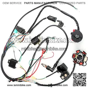 Quad Wire Harness, CDI Wire Harness Assembly Wiring Set For 50cc 70cc 90cc 110cc 125cc Chinese ATV Electric Stator CDI Coil ATV Quad Bike Buggy Go Kart
