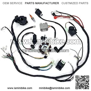 Electric Wire Harness Wiring Loom CDI Ignition Coil Spark Plug Rebuild Kit for 150CC 200CC 250CC Electric Stator CDI Coil ATV Quad Bike Buggy Go Kart