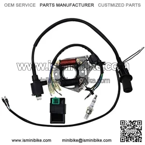 Ignition Rebuild Kit for 50cc 70cc 90cc 110cc 125cc ATV Stator CDI Coil Plug Quad Bike Buggy Go Kart