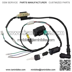 Rebuilt Ignition CDI Wiring Kit Harness for 50cc 70cc 90cc 110cc 125cc Stator CDI Coil ATV Quad Bike Buggy Go Kart