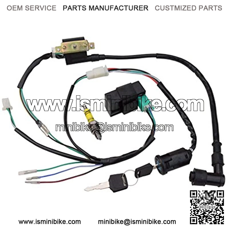 Rebuilt Ignition CDI Wiring Kit Harness for 50cc 70cc 90cc 110cc 125cc Stator CDI Coil ATV Quad Bike Buggy Go Kart