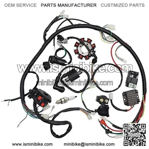 Soosee Complete Wiring Harness kit Wire Loom Electrics Stator Coil CDI for ATV Quad 4 Four Wheelers 150CC 200CC 250CC Go Kart Dirt Pit Bikes