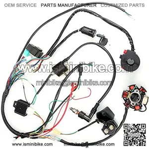 Shangmu Complete Set of Coil Wiring Harness Road Ignition System Electric Wiring Harness CDI Stator Kit for 50CC 70CC 90CC 110CC ATV Quad GO Kart