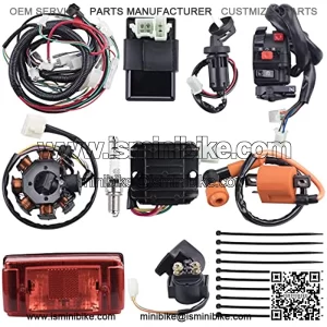 Complete Electrics Wiring Harness Stator Coil CDI Solenoid Relay Spark Plug Tail Light for 4 Wheelers Stroke ATV ??150cc 200cc 250cc 300cc?? Pit Dirt Bike Go Kart Zongshen Lifan by AUTOMOTIVE