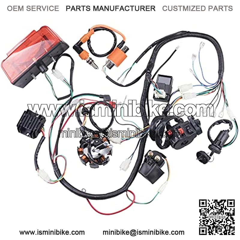 Complete Electrics Wiring Harness Stator Coil CDI Solenoid Relay Spark Plug Tail Light for 4 Wheelers Stroke ATV ??150cc 200cc 250cc 300cc?? Pit Dirt Bike Go Kart Zongshen Lifan by AUTOMOTIVE - Image 2