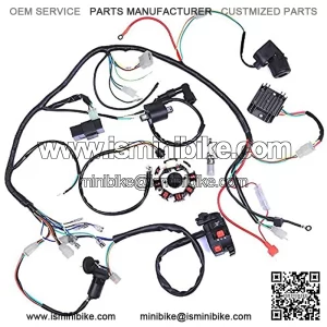 Wiring Harness kit Wire loom | Complete Electrics Stator Coil CDI for 150cc-300cc ATV QUAD 4 Four wheelers Go Kart Dirt Pit bikes (2 fixing holes)