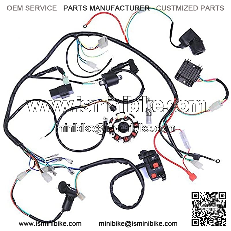 Wiring Harness kit Wire loom | Complete Electrics Stator Coil CDI for 150cc-300cc ATV QUAD 4 Four wheelers Go Kart Dirt Pit bikes (2 fixing holes)