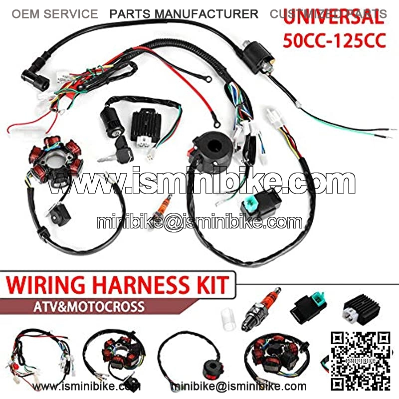 Hasde Wire Harness Wiring Loom CDI Ignition Coil Spark Plug Rebuild Kit for 50cc 70cc 90cc 110cc 125cc ATV Electric Stator CDI Coil ATV Quad Bike Buggy Go Kart