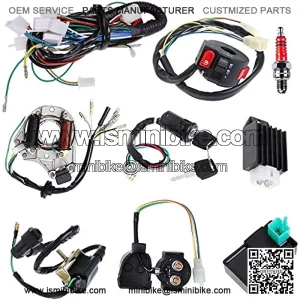 Hestish Complete Electrics Stator Coil CDI Wiring Harness Solenoid Relay Spark Plug for 4 Stroke ATV 50cc 70cc 110cc 125cc Pit Quad Dirt Bike Go Kart
