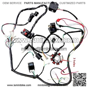Complete Electrics Wiring Harness Wire Loom Stator Coil CDI For 150cc-300cc ATV Quad Four wheelers Go Kart Dirt Pit bikes