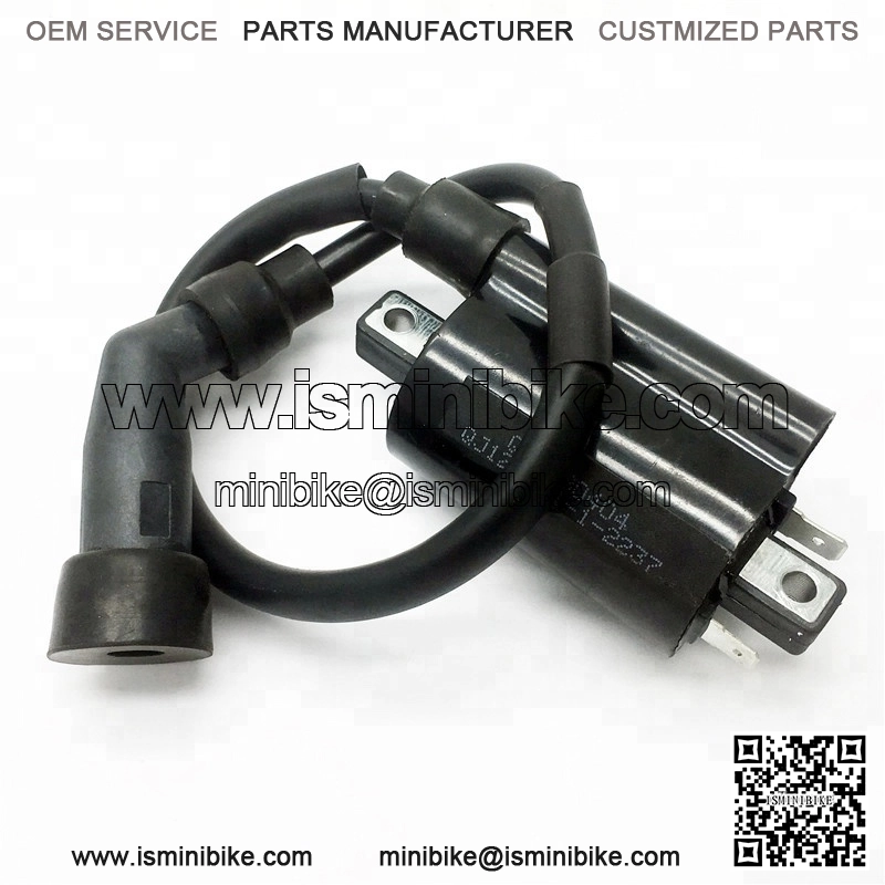 Ignition System Part for 300cc ATV Ignition Coil - Image 3