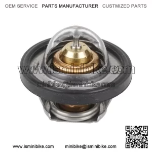 Motorsports Clutch Assembly with 3/4" Shaft & 10 Tooth 420 Chain Sprocket for The Mini Bike MB200