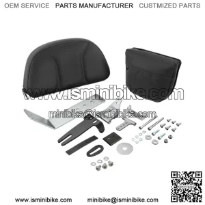 Big Bike Parts Removable Adjustable Backrest 41-308