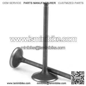250cc intake and exhaust assembly for water cool engine