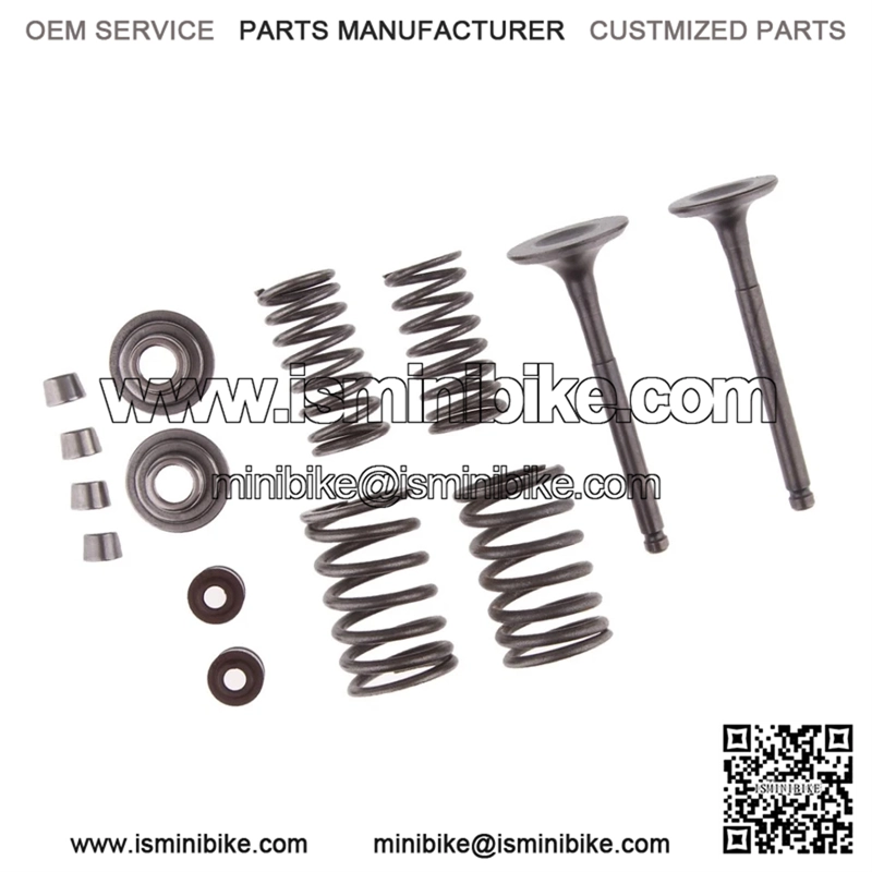 Kit de Reconstrucci??n de Resorte de V??lvulas de Escape de Admisi??n para 110 Cc Dirt V??lvulas de escape de admisi??n Resortes