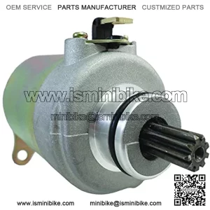 NEW 12 Volt 9 Tooth Cw Starter Motor Compatible With Bms Motor Compatible With Sports Go Kart 150Cc 30391-C5-31