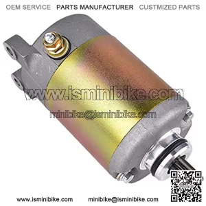 Starter Motor Replacement for BMS 250 250cc Go Kart Dune Buggy