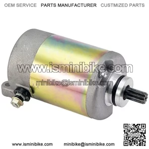 CF250 V3 V5 CN250 Helix CH250 Starter Motor for 172mm 250cc Water Cooled Scooter ATV Quad Go Kart Buggy