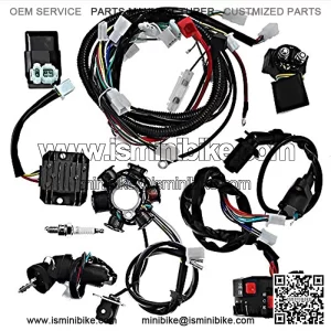 Complete Electrics All Wiring Harness CDI Rectifier Ignition Coil Wire Loom Kit for GY6 125cc ATV Quad Go Kart Scooter
