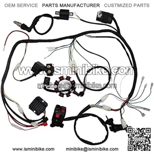 Facaing Complete Electrics All Wiring Harness Wire Loom Assembly for 150cc-300cc ATV Quad 4 Four Wheelers Go Kart Dirt Pit Bikes