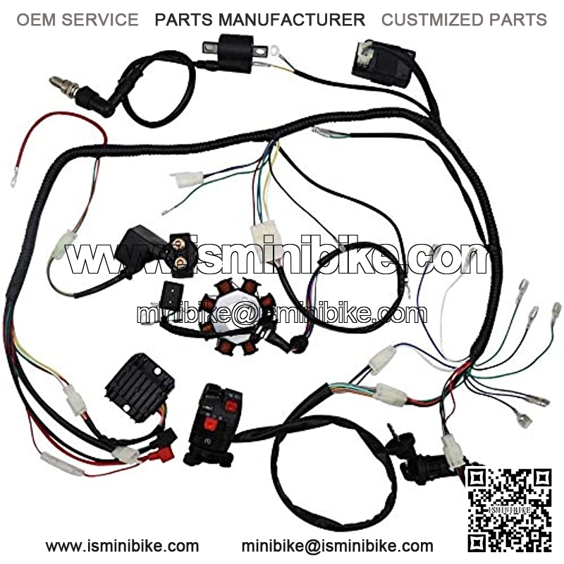 Facaing Complete Electrics All Wiring Harness Wire Loom Assembly for 150cc-300cc ATV Quad 4 Four Wheelers Go Kart Dirt Pit Bikes