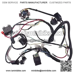 Supermotorparts 150CC GY6 Wiring Harness Wire Loom Stator CDI Switch Electrics Assembly for 4-Stroke Engine 150CC 125CC Go Kart ATV Scooter Buggy