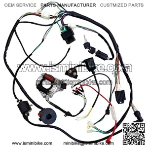 Full Wiring Harness Loom kit CDI Coil Magneto Kick Start Engine for 50cc 70cc 90cc 110cc 125cc ATV Quad Bike Buggy Go Kart Pit Dirt Bikes