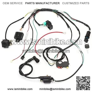 Complete Electric Start Engine Wiring Harness CDI Coil Wiring Loom 50cc 110cc 125cc ATV Buggy Quad Dirt Bike