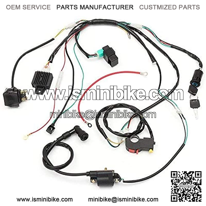 Complete Electric Start Engine Wiring Harness CDI Coil Wiring Loom 50cc 110cc 125cc ATV Buggy Quad Dirt Bike