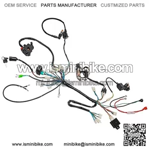 Wiring Harness CDI Coil Magneto Rectifier Light for 50cc 70cc 110cc 125cc ATV Buggy Go Kart