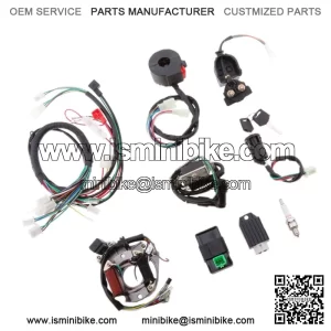Kit de Montaje Arn??s de Alambre CDI para  Quad Motos  Conjunto de mazo de cables CDI