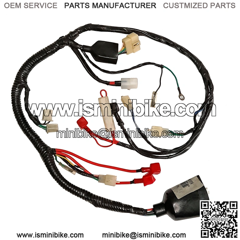 Main Wire Harness for Baja Wilderness 90cc ATV